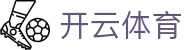 开云体育·kaiyun.com